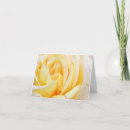 Suche nach gelbe rosen karten Fotografie