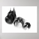 Recherche de miniature posters Terrier