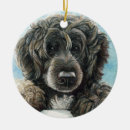 Suche nach portugiesischer wasserhund ornament ornamente Welpe