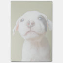 Suche nach stier post it Welpe