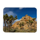 Suche nach joshua tree national park magnete Usa