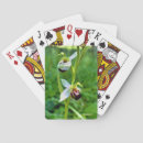 Recherche de orchidée jeux de cartes Nature