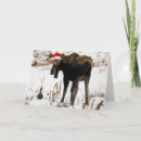 Suche nach weihnachtselche Spaß
