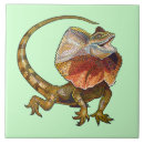 Recherche de lézard carreaux Animal