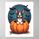 Suche nach pitbulls poster Wolf