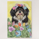 Suche nach havaneser puzzle Haustier