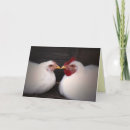 Recherche de affection vœux cartes Jour des valentines