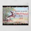 Recherche de rennes noël cartes postales Drôle