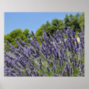 Suche nach gebiete poster Natur