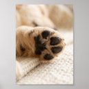 Recherche de mémorial chat posters Pour tous