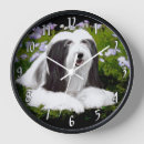 Recherche de barbu horloges Chien