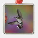 Suche nach kolibri schmuck Nektar
