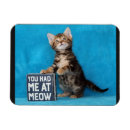 Recherche de mon chaton magnets Pour elle