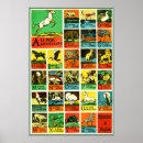 Suche nach animal abc poster Alphabet