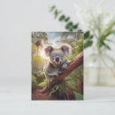 Recherche de koala gris cartes postales Ours