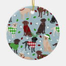 Recherche de labrador retriever ornements Black lab
