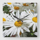 Suche nach gänseblümchen wanduhren Blumenuhren