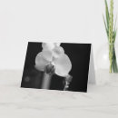Recherche de balade photographie Noir et blanc