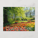 Recherche de arbre tulipe cartes postales Tulipes
