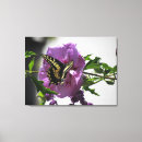 Suche nach hibiskus leinwandbilder Schmetterling
