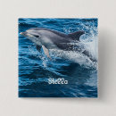 Suche nach delphin buttons Ozean