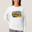 Recherche de bujaruelo tshirts Palais