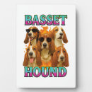 Recherche de basset plaques Chiot