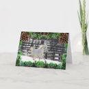 Suche nach weißes pferd karten Nutztier