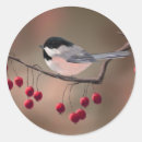 Recherche de brindille autocollants Oiseau