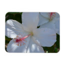 Recherche de parfums magnets Fleurs