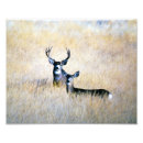 Recherche de chasse de cerfs communs posters Chasseur