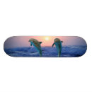 Recherche de levers de soleil skateboards Océan