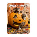 Suche nach jackolantern magnete Lustig