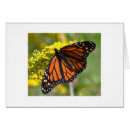 Suche nach goldrute postkarten Gelb