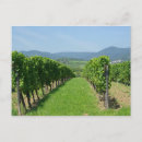 Recherche de alsace cartes postales Vignoble