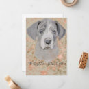 Suche nach kein entschuldigungst kleine grußkarten Entschuldigung für ihren verlust