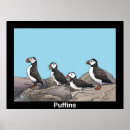 Suche nach puffer poster Natur