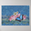 Suche nach morpho poster Schmetterling
