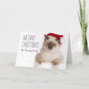 Suche nach tierkörperteil karten Haustiere