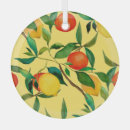 Suche nach zitrusfrucht ornamente Nahrung