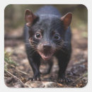 Suche nach tasmanisch aufkleber Australisch