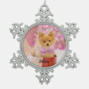 Recherche de tornade ornements Pour tous