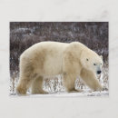Recherche de manitoba cartes postales Nature
