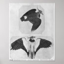 Suche nach pisanello poster Schnabel
