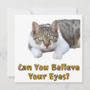 Recherche de miauler cartes postales Kawaii