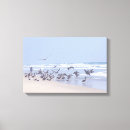 Suche nach brauner pelikan leinwandbilder Natur