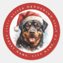 Recherche de chiot rottweiler autocollants Noël