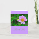 Suche nach anemonen karten Fotografie