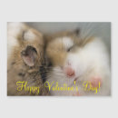 Suche nach robo postkarten Niedlich