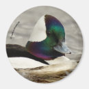 Suche nach niedliche enten magnete Wasservögel